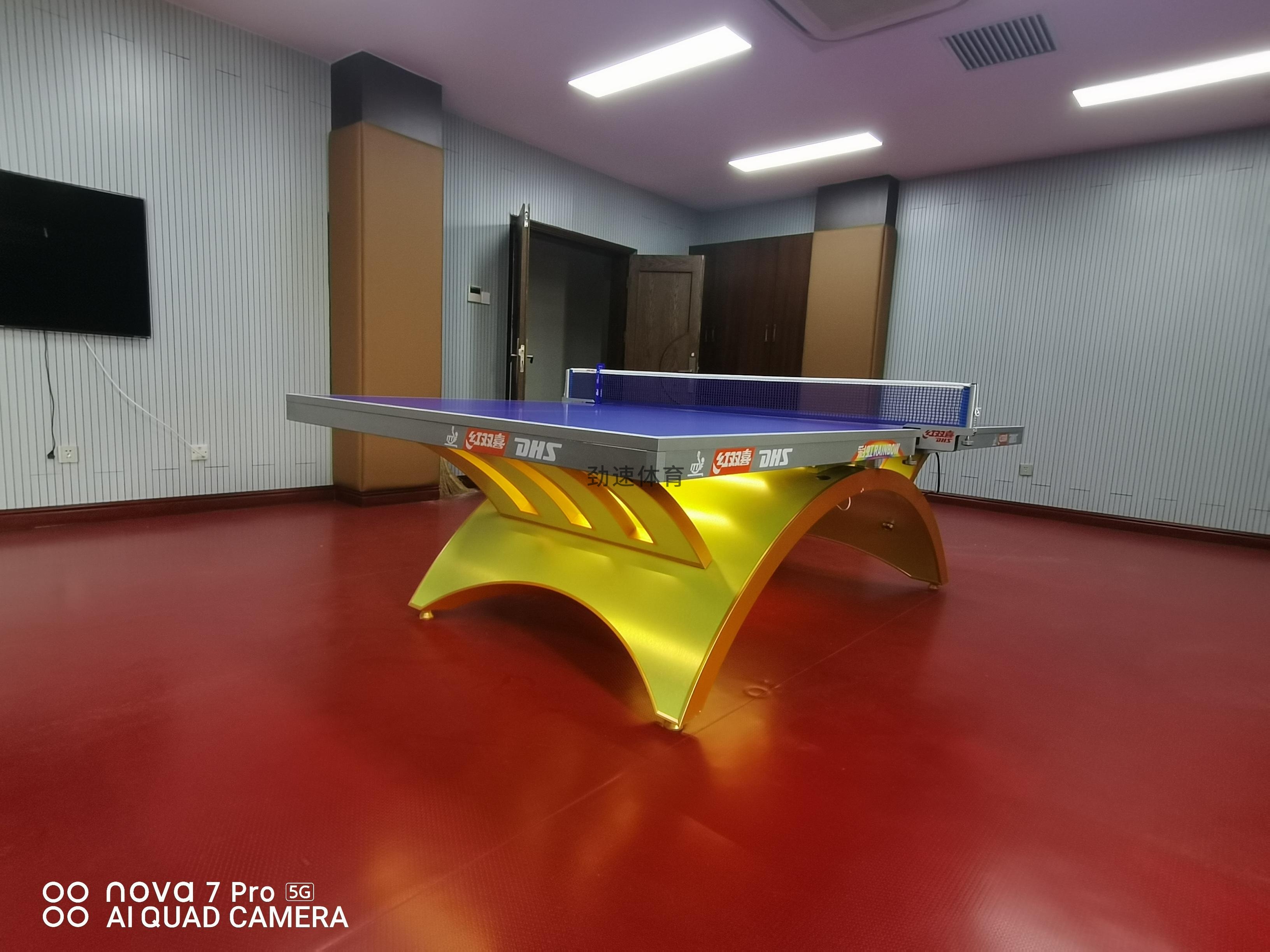 體育器材，紅雙喜乒乓球臺(tái)